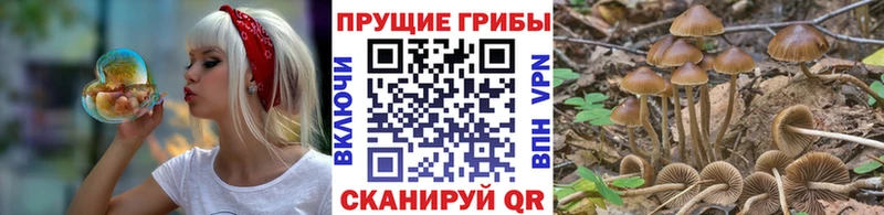 Псилоцибиновые грибы MAGIC MUSHROOMS  купить  сайты  Канаш 